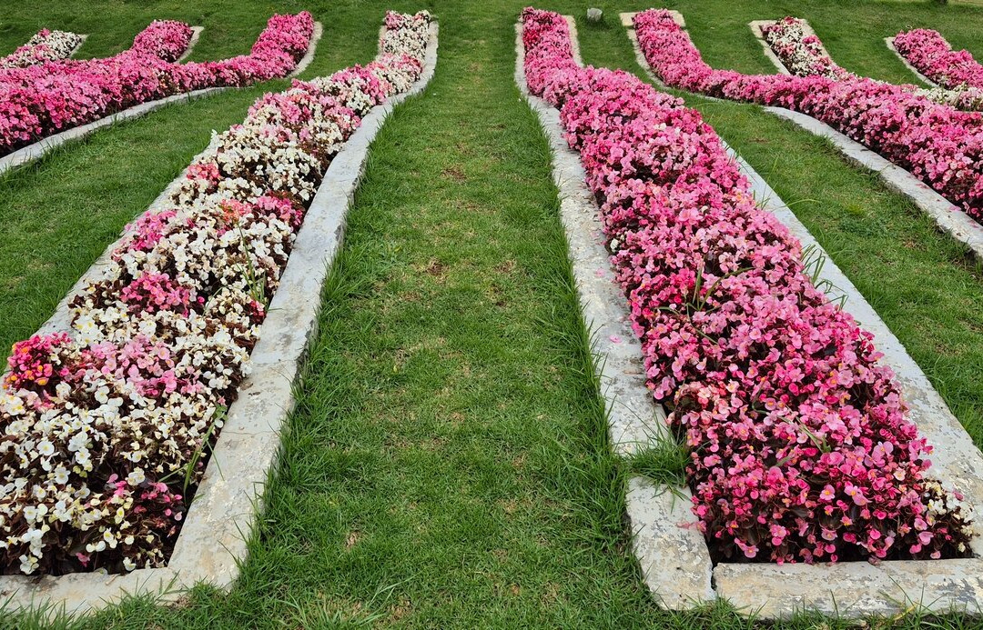 Karnataka Siri Horticulture Garden-乌提必去景点