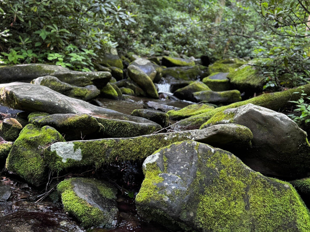 Roaring Fork Motor Nature Trail-大雾山国家公园必去景点