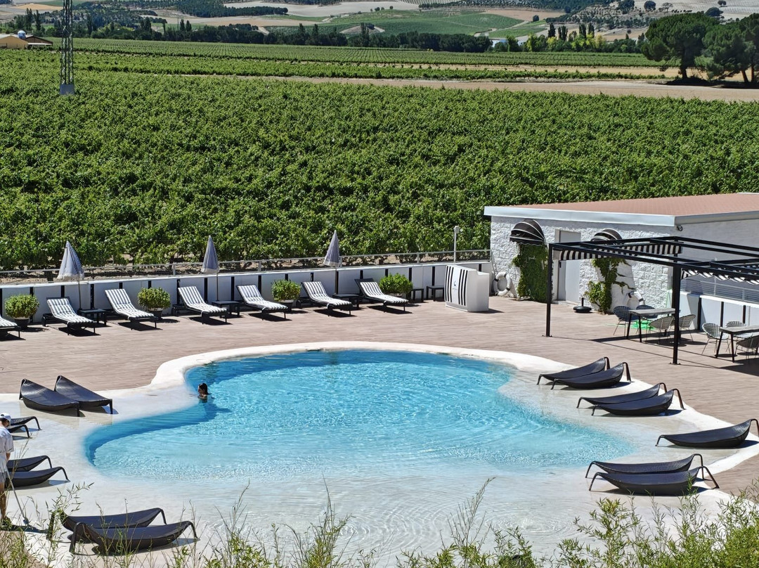 Bodegas Arzuaga Navarro-Quintanilla de Onesimo必去景点