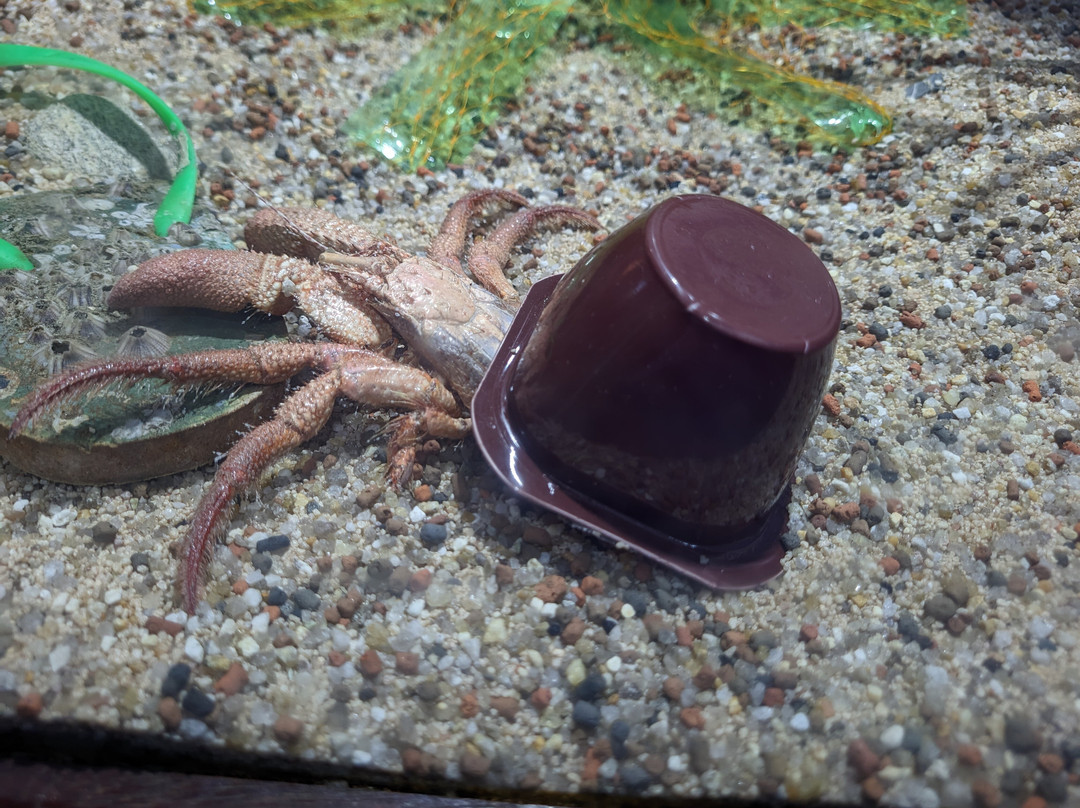Ubatuba Aquarium-乌巴图巴必去景点