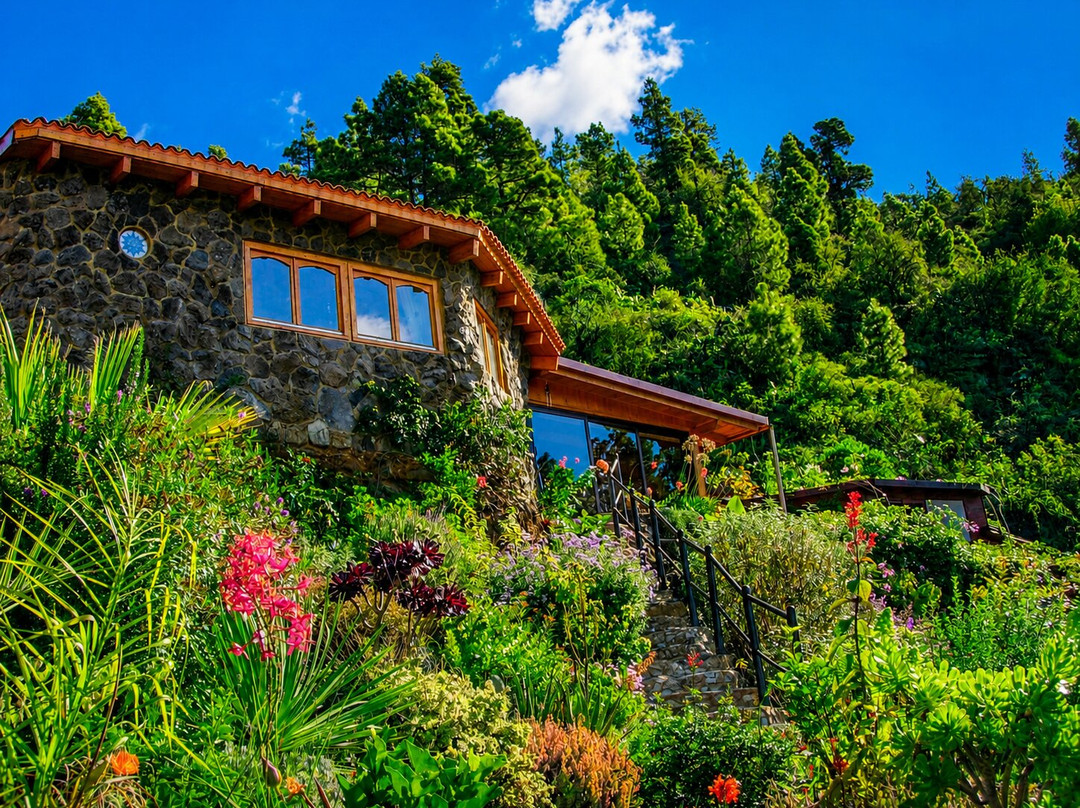 Vidyamor Yoga Retreats Canary Islands-Tijarafe必去景点