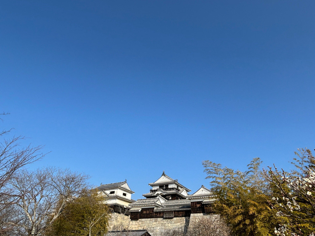 松山城-松山市必去景点