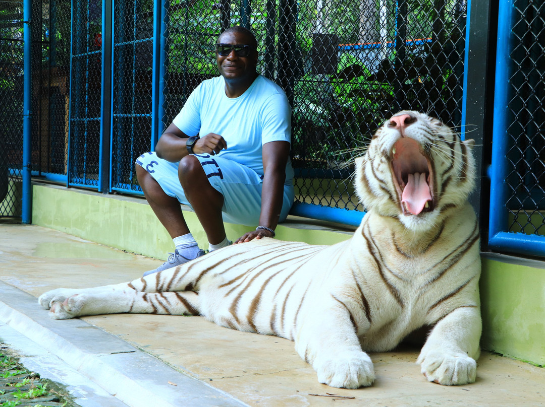 Tiger PARK Phuket-查龙必去景点