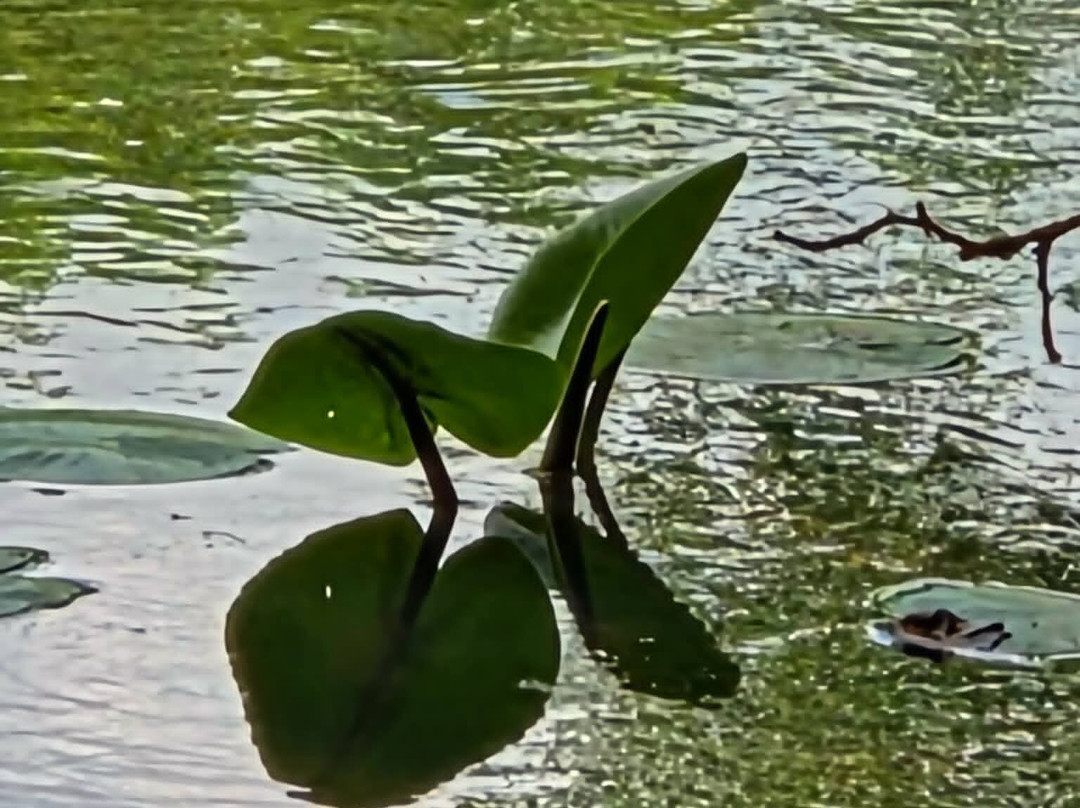 Cascade de Blangy-Hirson必去景点