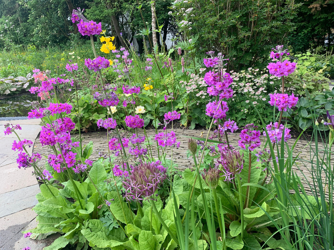 Palacerigg Country Park-坎伯诺尔德必去景点