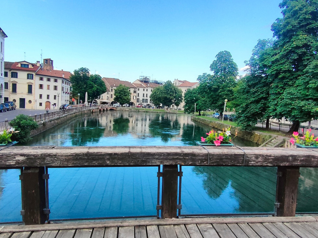 Ponte dell'Università-特雷维索必去景点