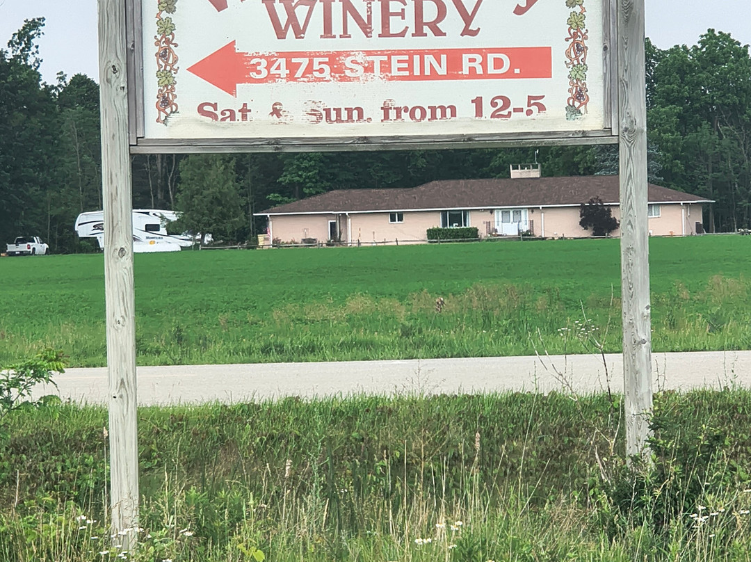 Vine-N-Berry Winery-Bad Axe必去景点