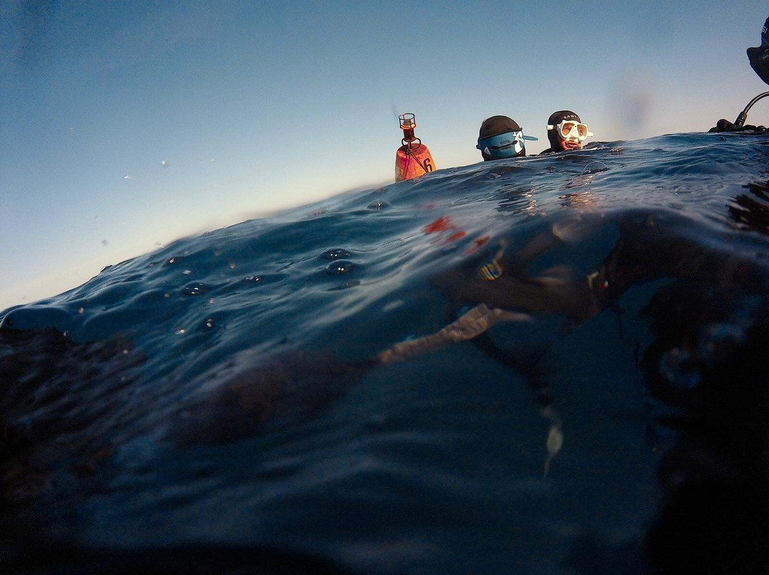 Elba Diving-Marciana Marina必去景点