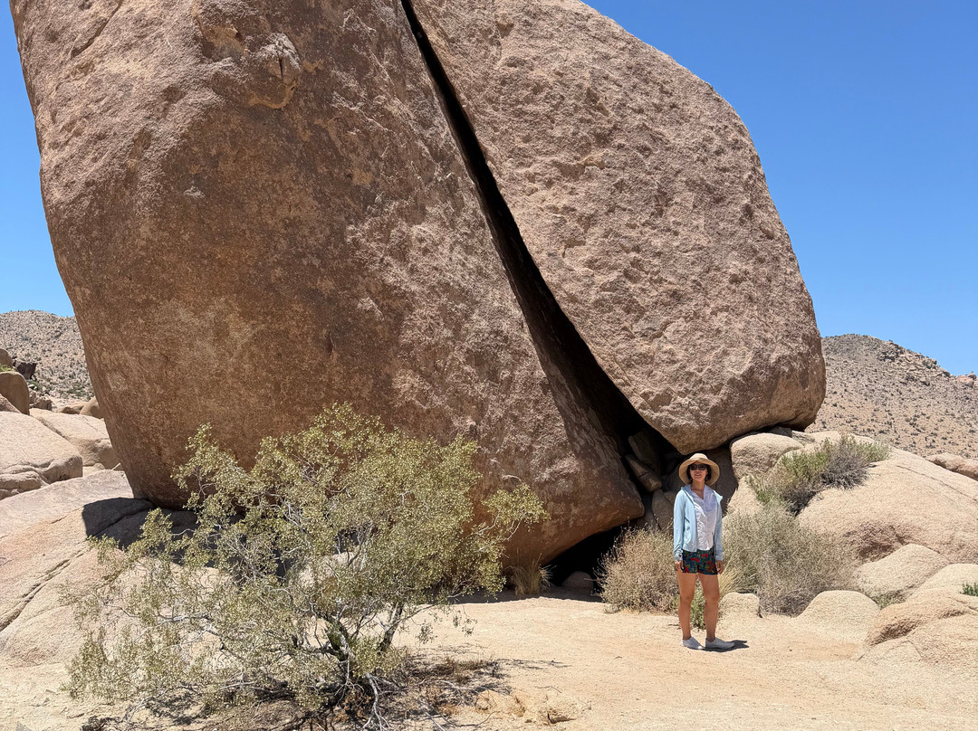 Joshua Tree National Park-约书亚树必去景点