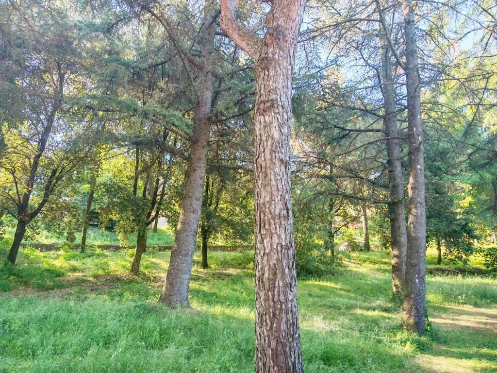 托斯卡纳健康度假村主图