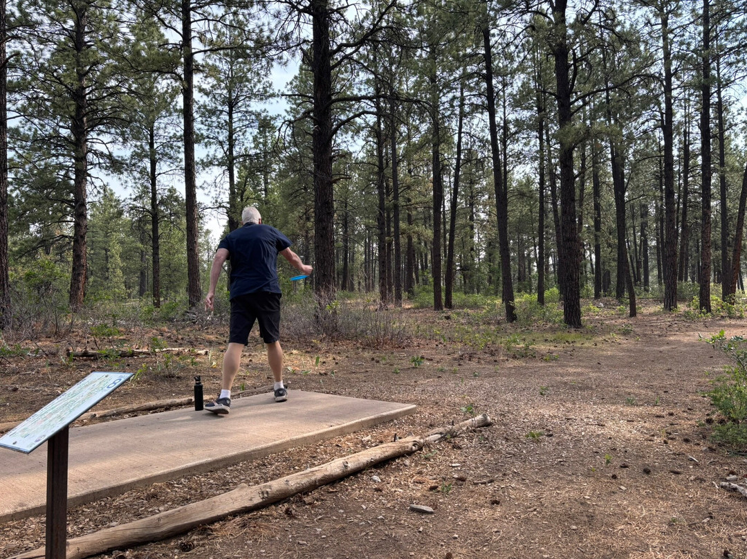 Cloman Park Disc Golf Course-帕戈萨斯普林斯必去景点