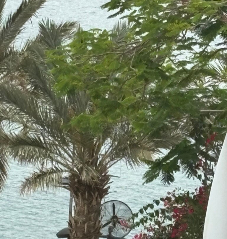 死海万豪度假酒店及水疗中心主图