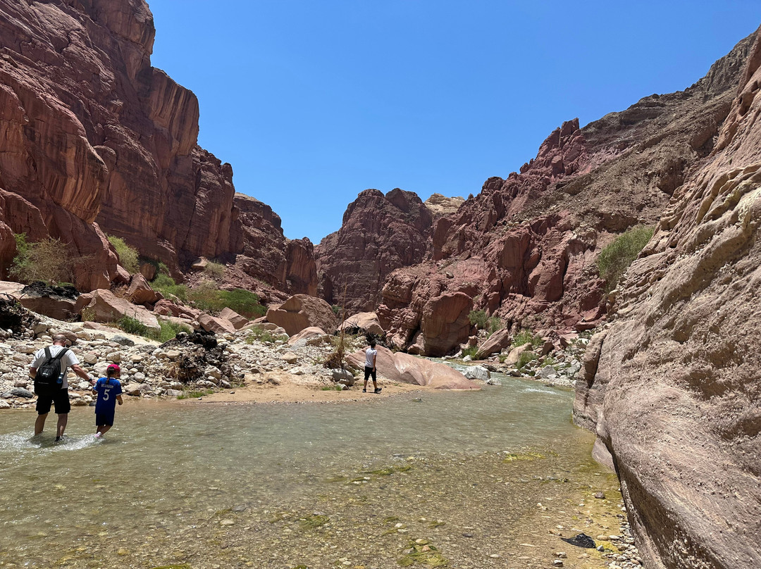 Wadi Al Hasa Hiking Tours-Safi必去景点