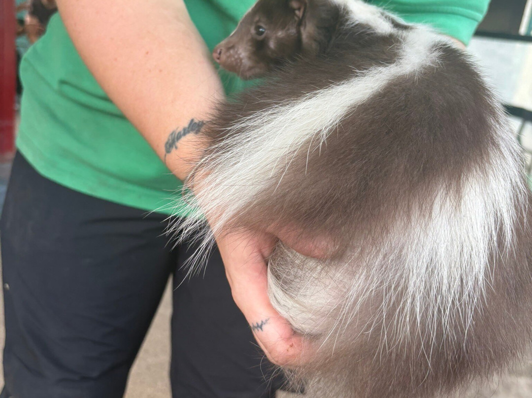 Greenacres Animal Park-Deeside必去景点