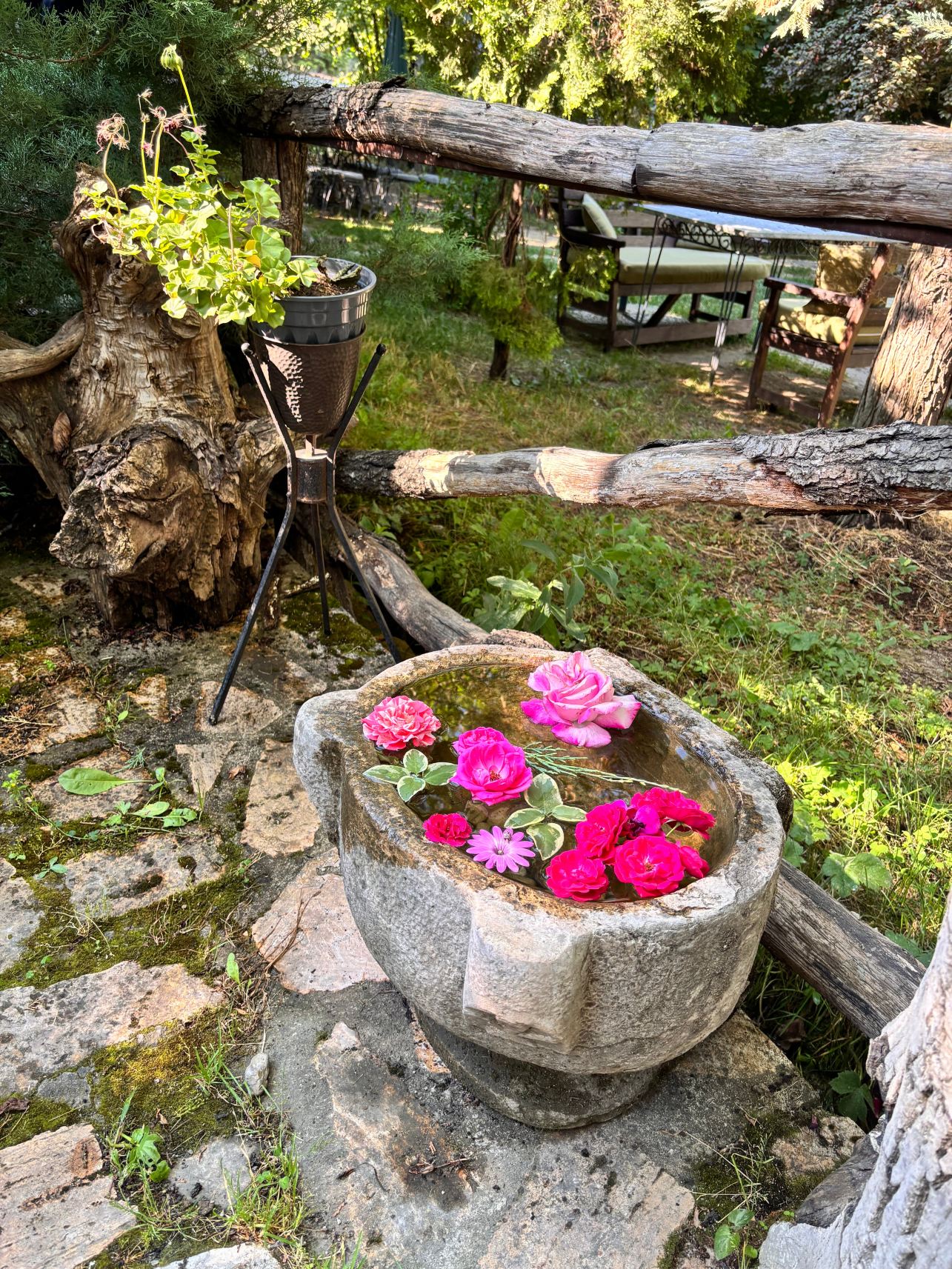 Yeşil Çizme Doğa Evi-旅行者