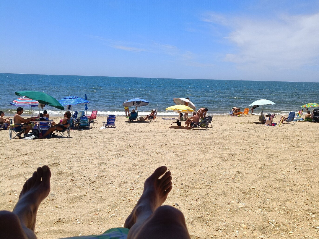 Praia Da Rocha-普赖尔洛查必去景点