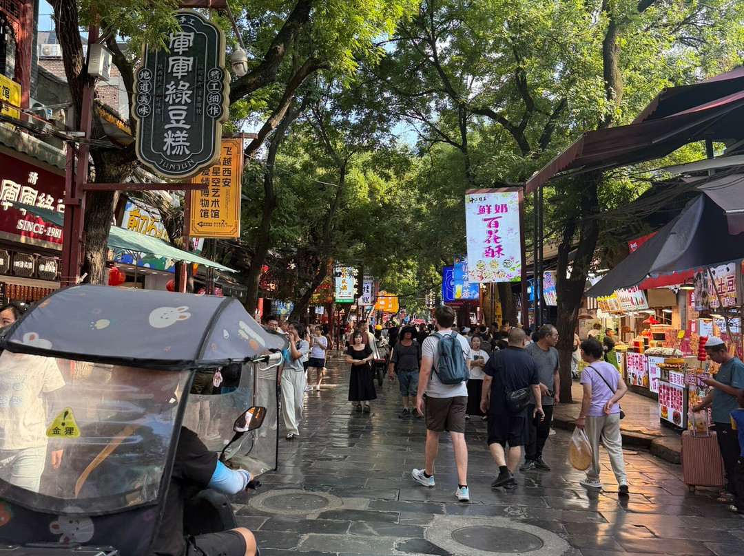 China Tours-西安市必去景点