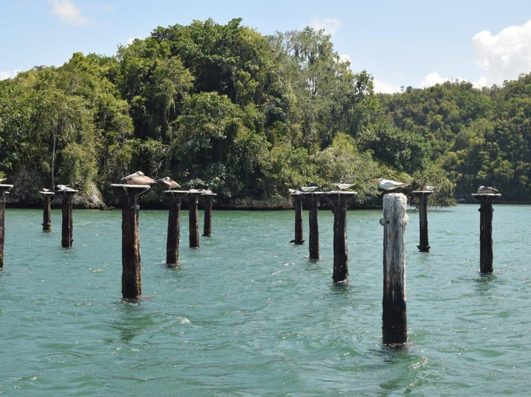BOOKING ADVENTURES - SABANA DE LA MAR-El Valle必去景点