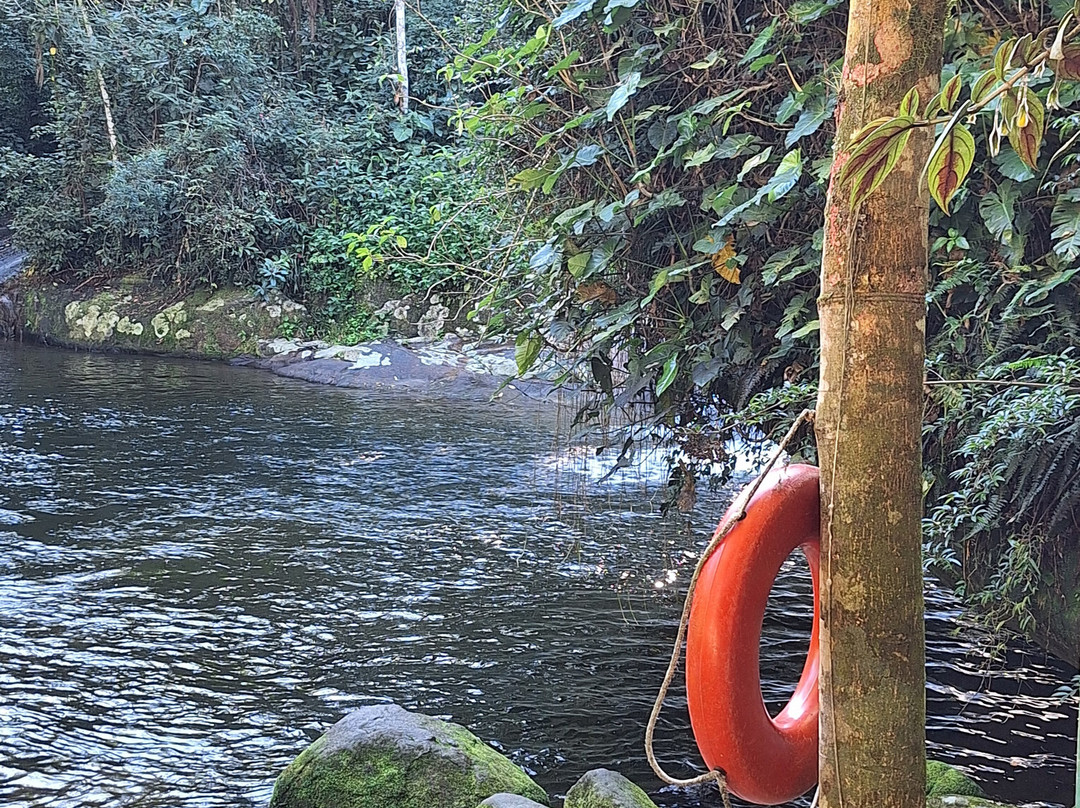 Poço do Tarzan-帕拉地必去景点