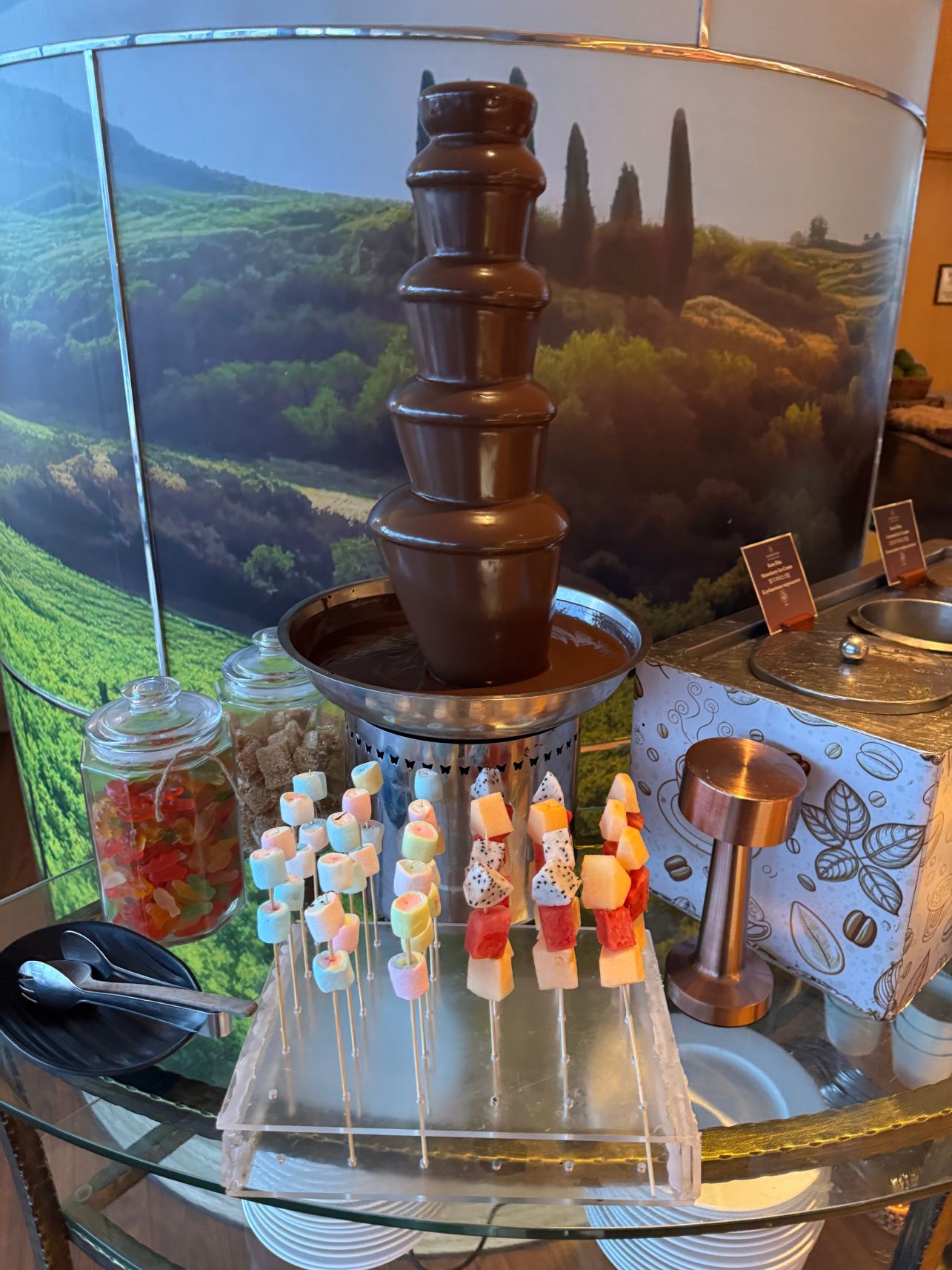 芽庄喜来登水疗酒店-旅行者