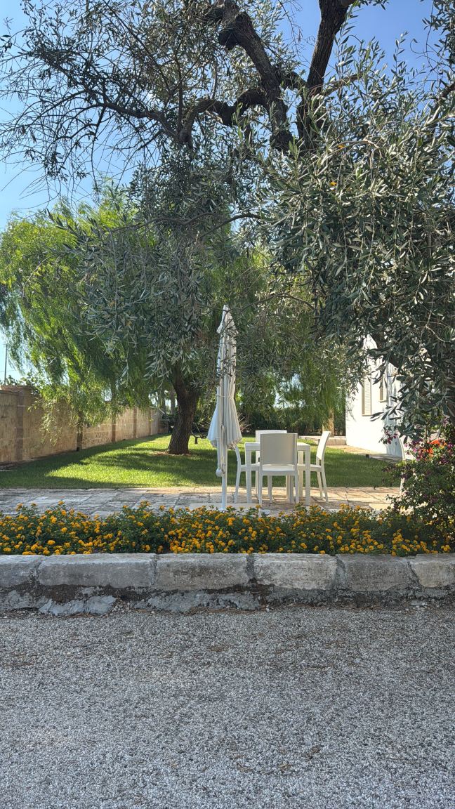 Paloma B&B-旅行者