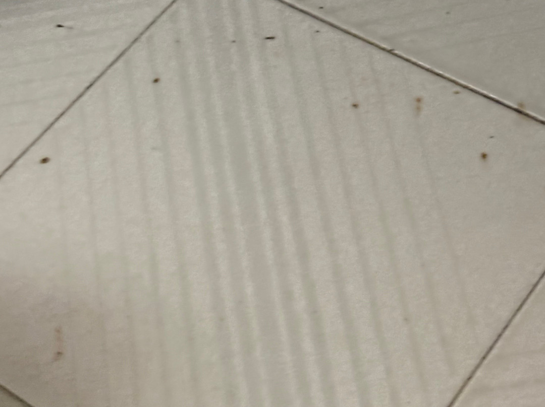 阿佛洛狄忒海滨酒店主图