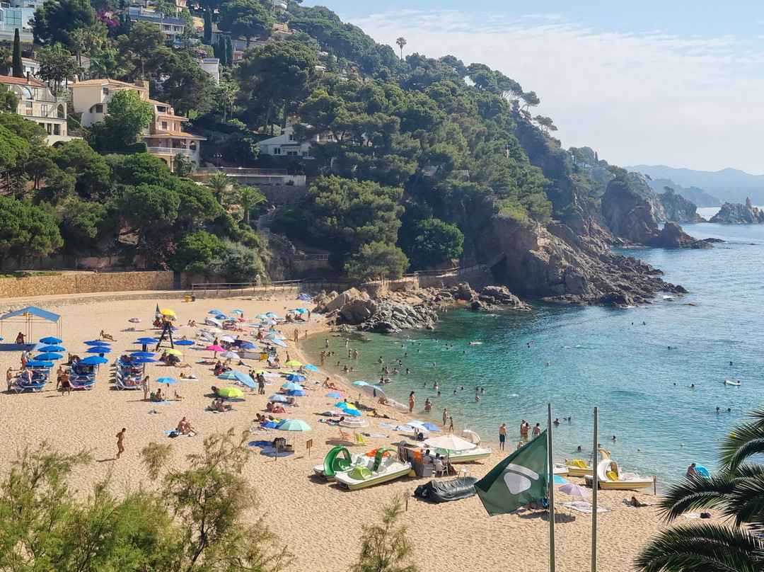 Cala de Sant Francesc-布拉内斯必去景点