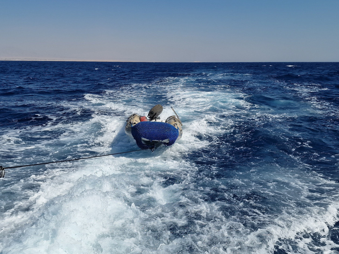 Orca Dive Club Safaga-Safaga必去景点