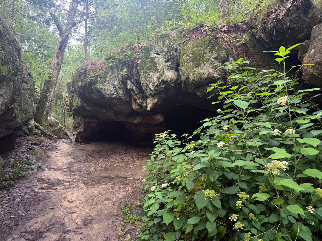 Pickle Springs Natural Area-Sainte Genevieve必去景点