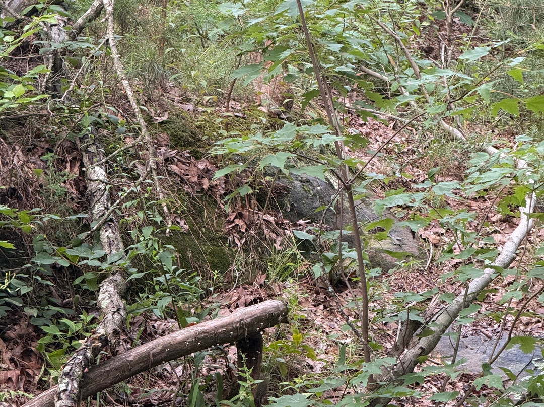 Pickle Springs Natural Area-Sainte Genevieve必去景点