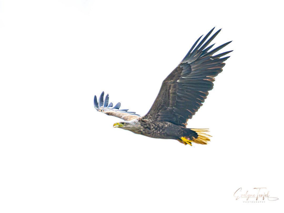 Boreal Wildlife Centre-Kuhmo必去景点