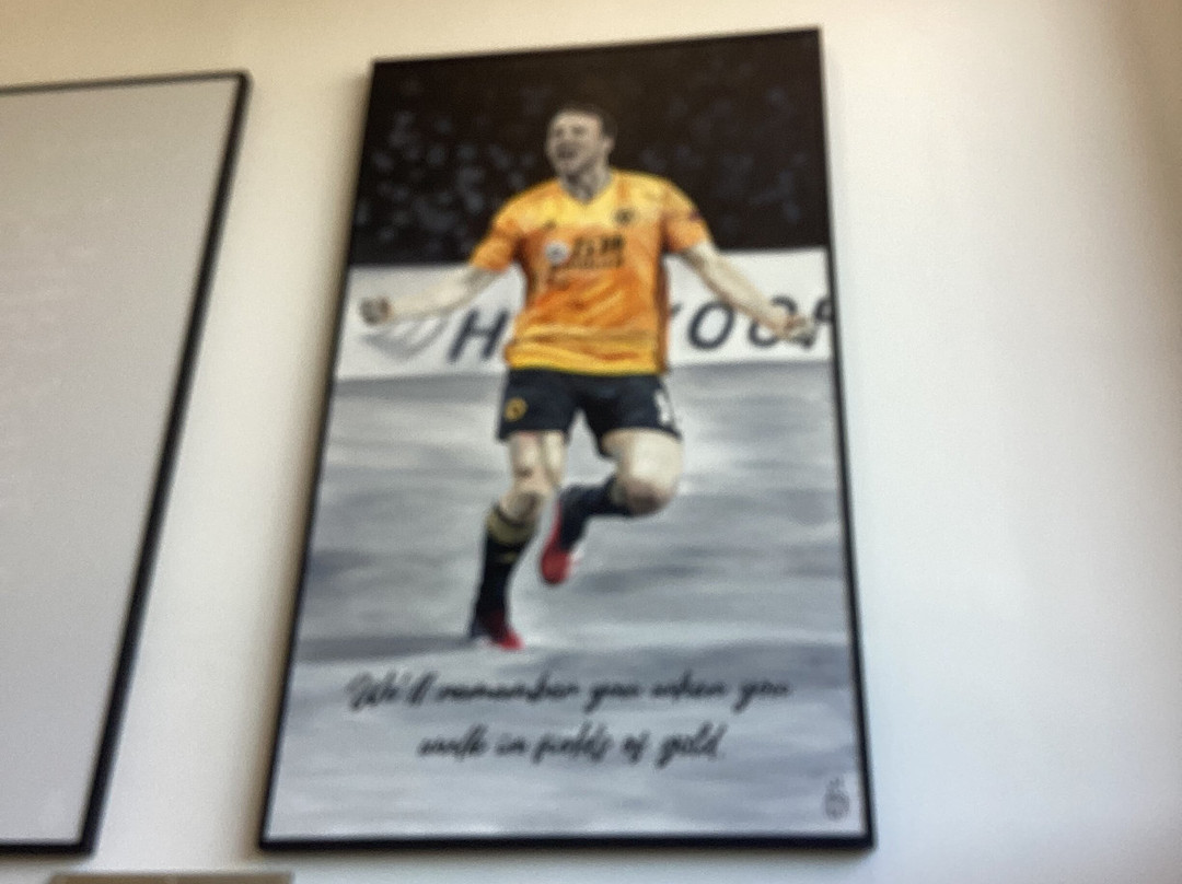 Wolves Museum & Stadium Tours-沃尔夫汉普顿必去景点