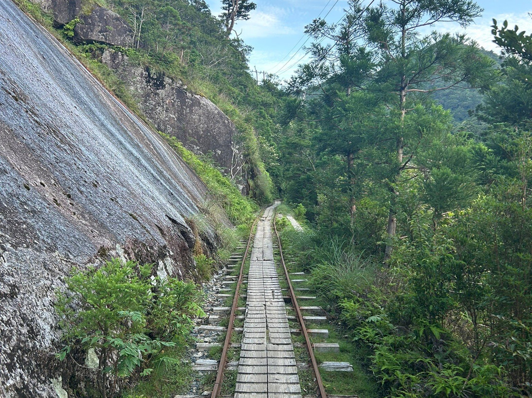 Yaksushima Trecking, Jomon Japanese Cedar Course-屋久岛町必去景点