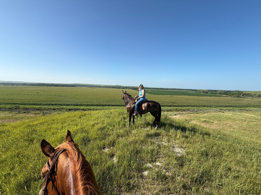 Clover Cliff Ranch Bed and Breakfast主图