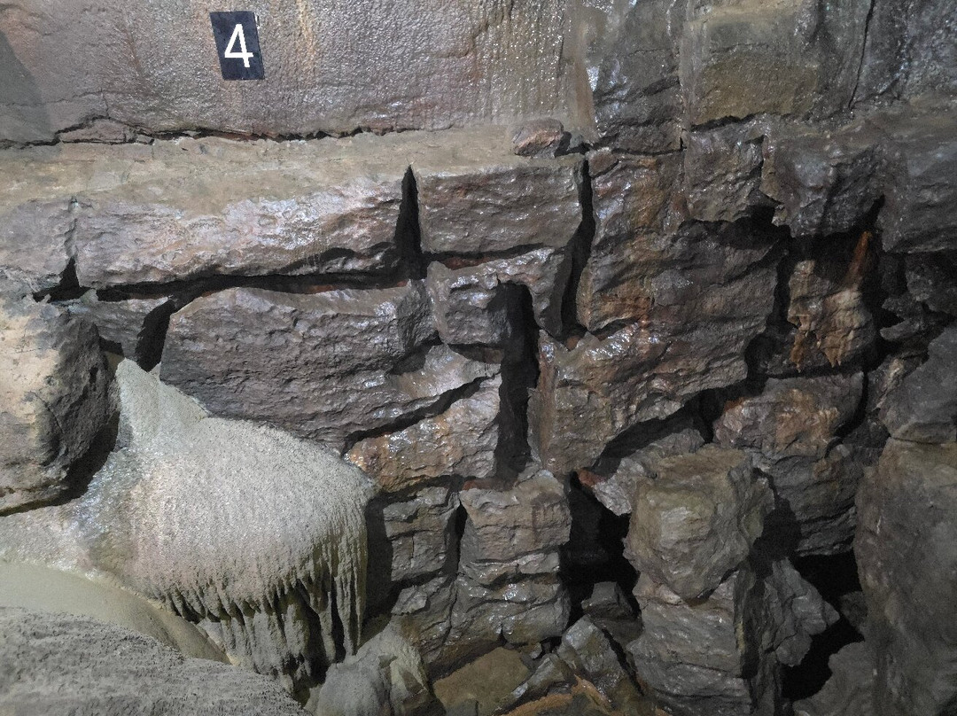 Ingleborough Cave-Clapham必去景点