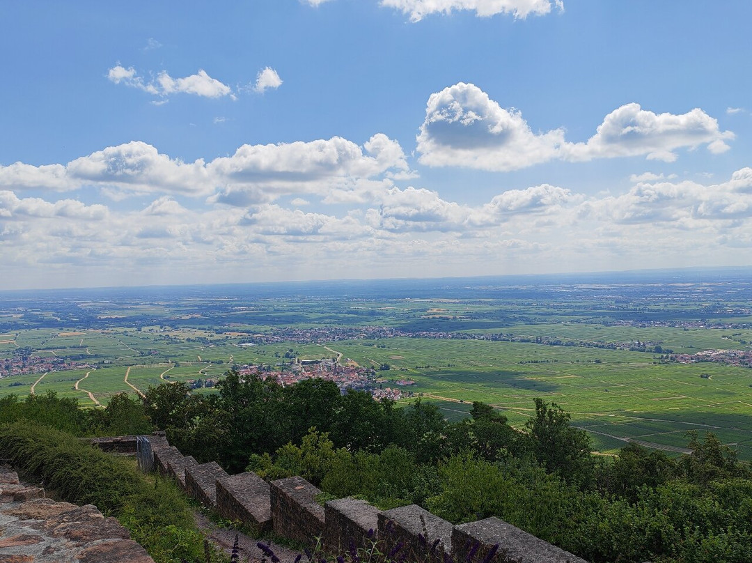 Rietburg Chairlift-Edenkoben必去景点