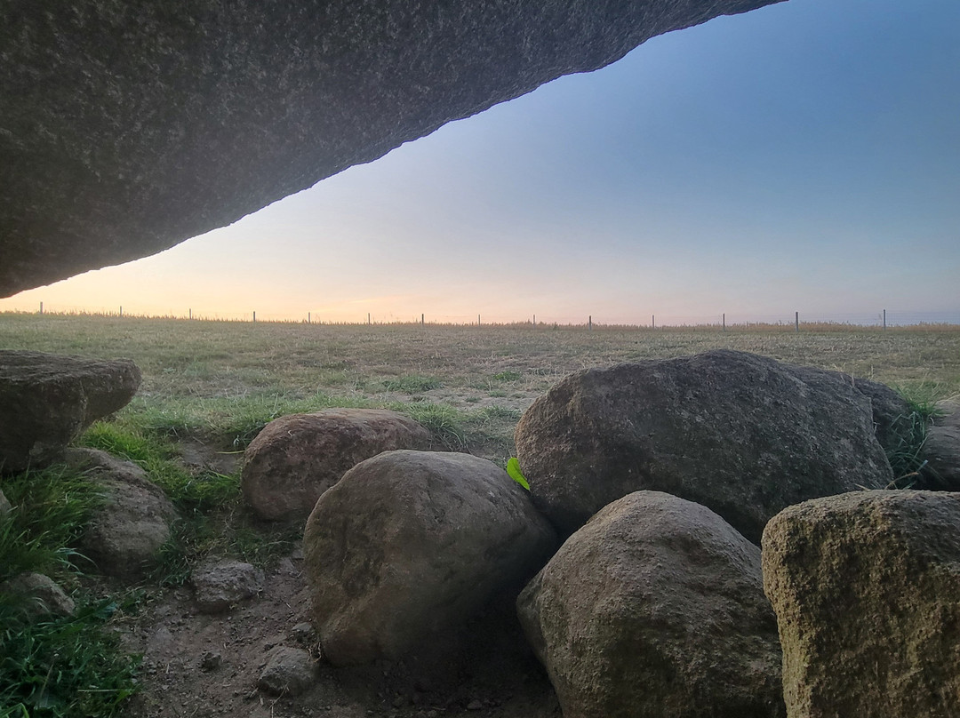 Brownshill Dolmen-Carlow必去景点