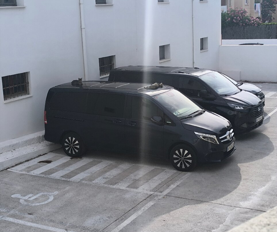贝拉海滩Spa酒店主图