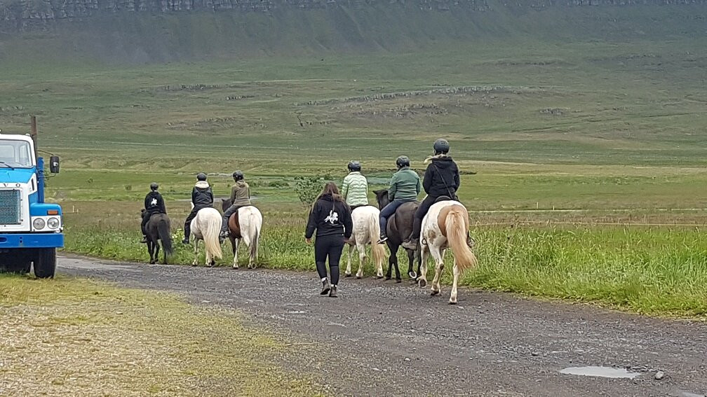 Sturlureykir Horses/Visiting HorseFarm-Reykholt必去景点