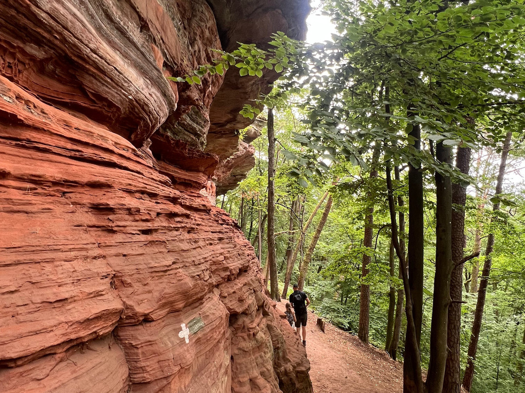 Altschlossfelsen-Eppenbrunn必去景点