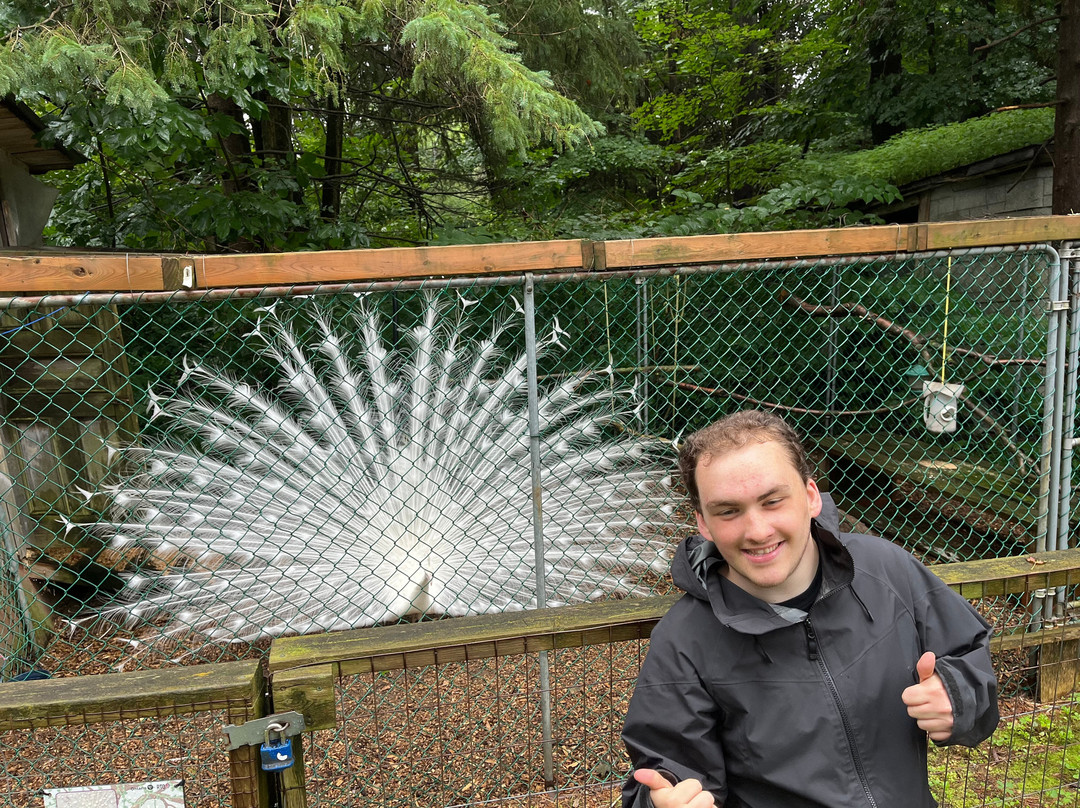 Saunders Country Critters Zoo-North Grenville必去景点