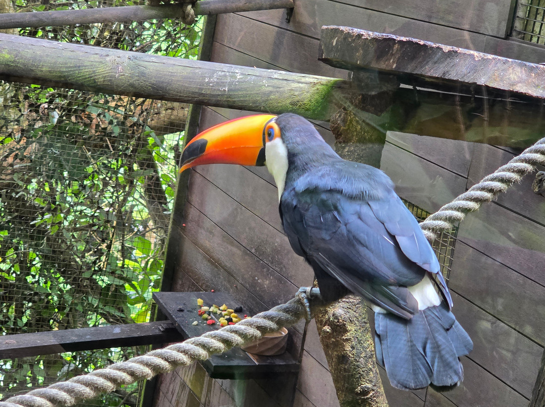 Zoo De Guadeloupe Au Parc Des Mamelles-Bouillante必去景点