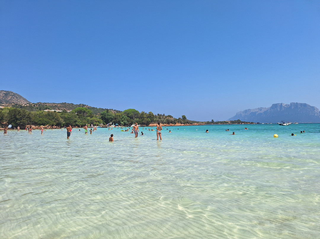 Porto Istana Beach-奥尔比亚必去景点