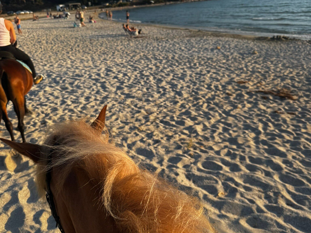 Horse Riding Alonaki-Valanidorrachi必去景点