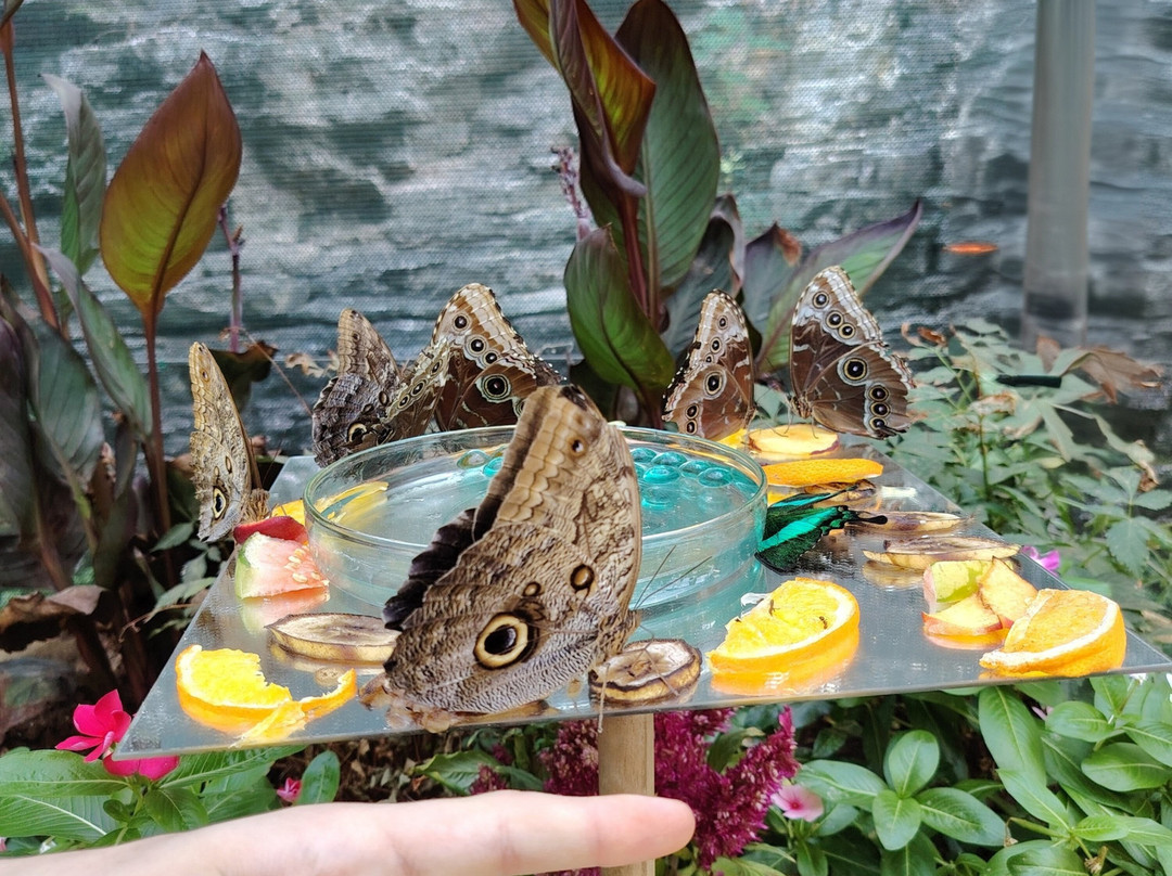 Aquarium Pula-普拉必去景点