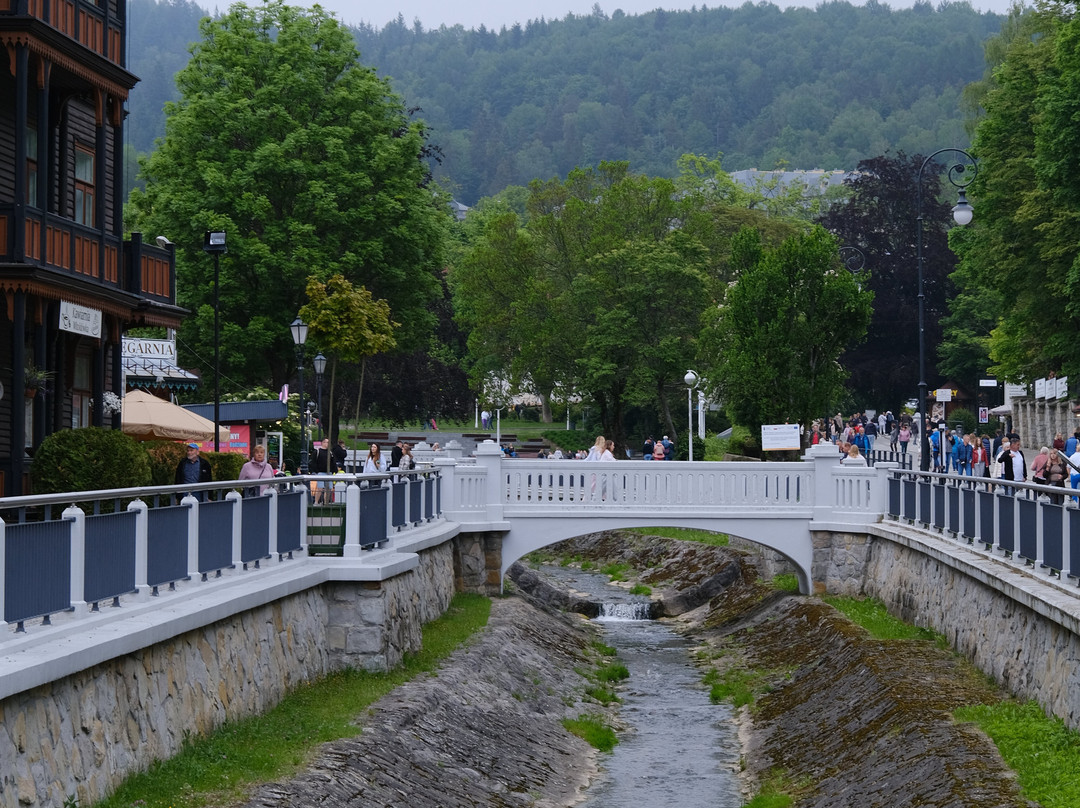 Deptak w Krynicy-Krynica-Zdroj必去景点