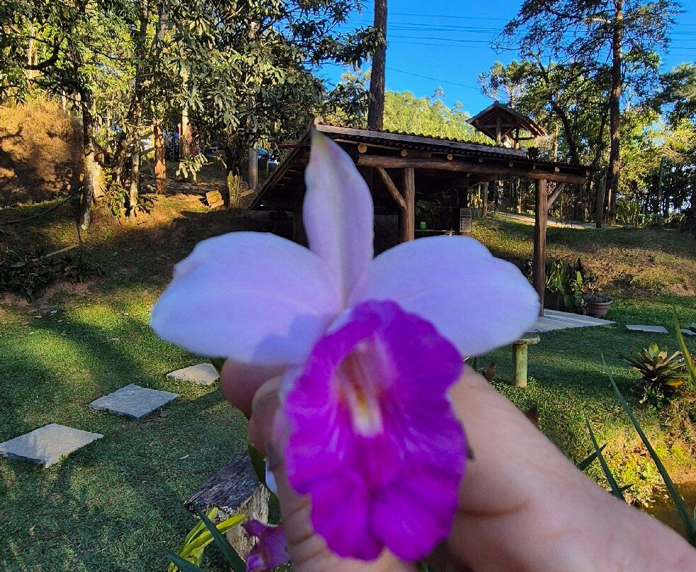 Espaço Garden Margarida-Sao Francisco Xavier必去景点