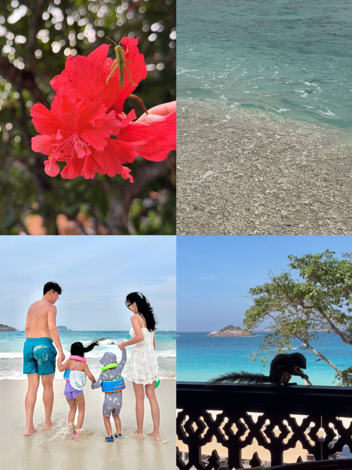 热浪岛拉古娜度假村-旅行者
