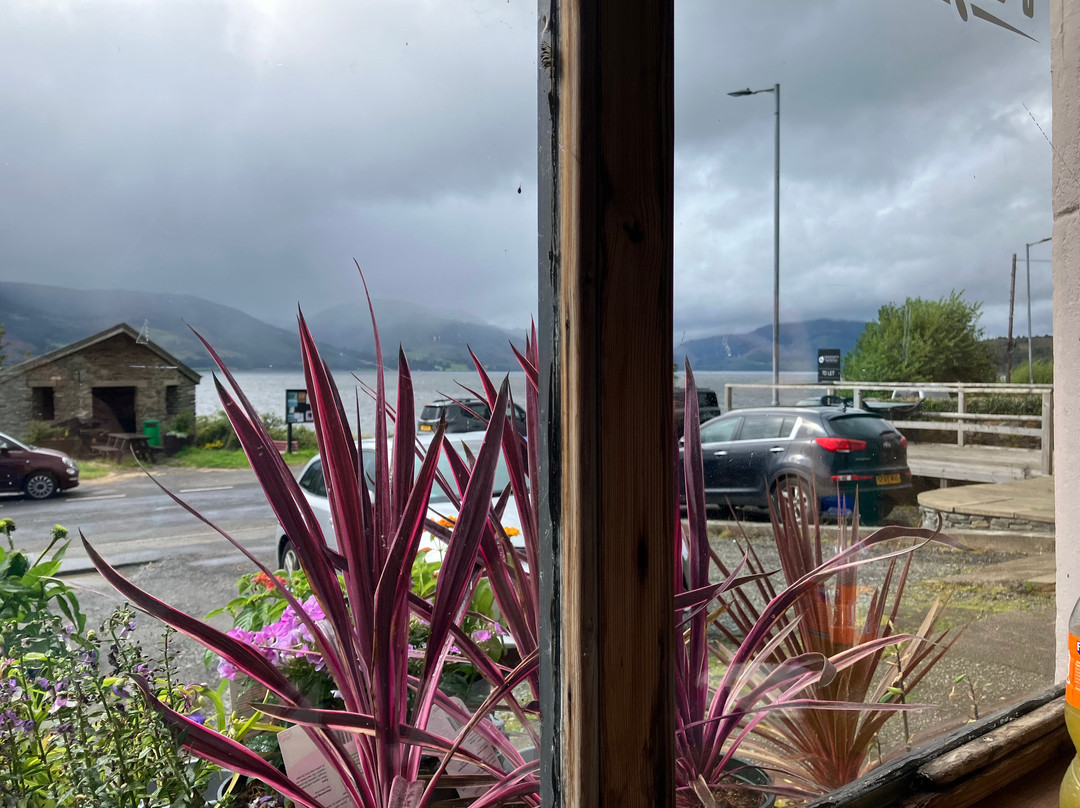 Scotland's Cove Country Store