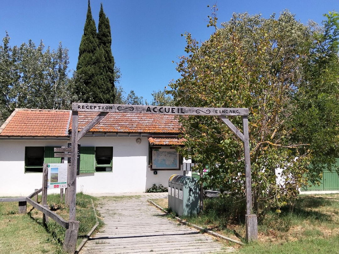 Les Marais Du Vigueirat - Arles Camargue-阿尔勒必去景点